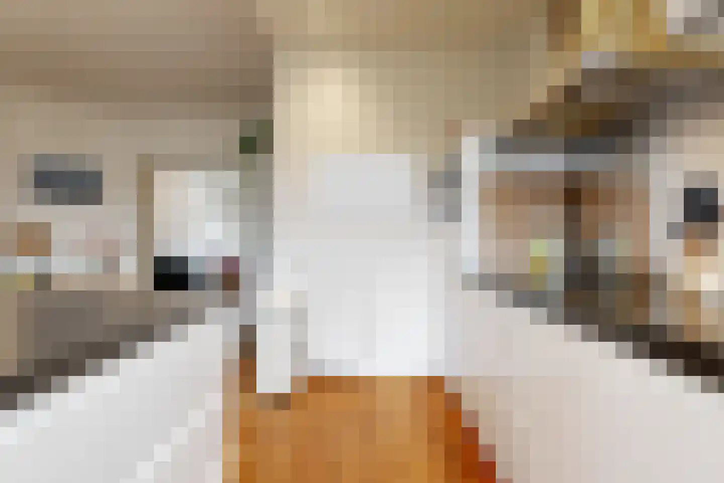 Julianalaan 14 Sassenheim thumbnail 18