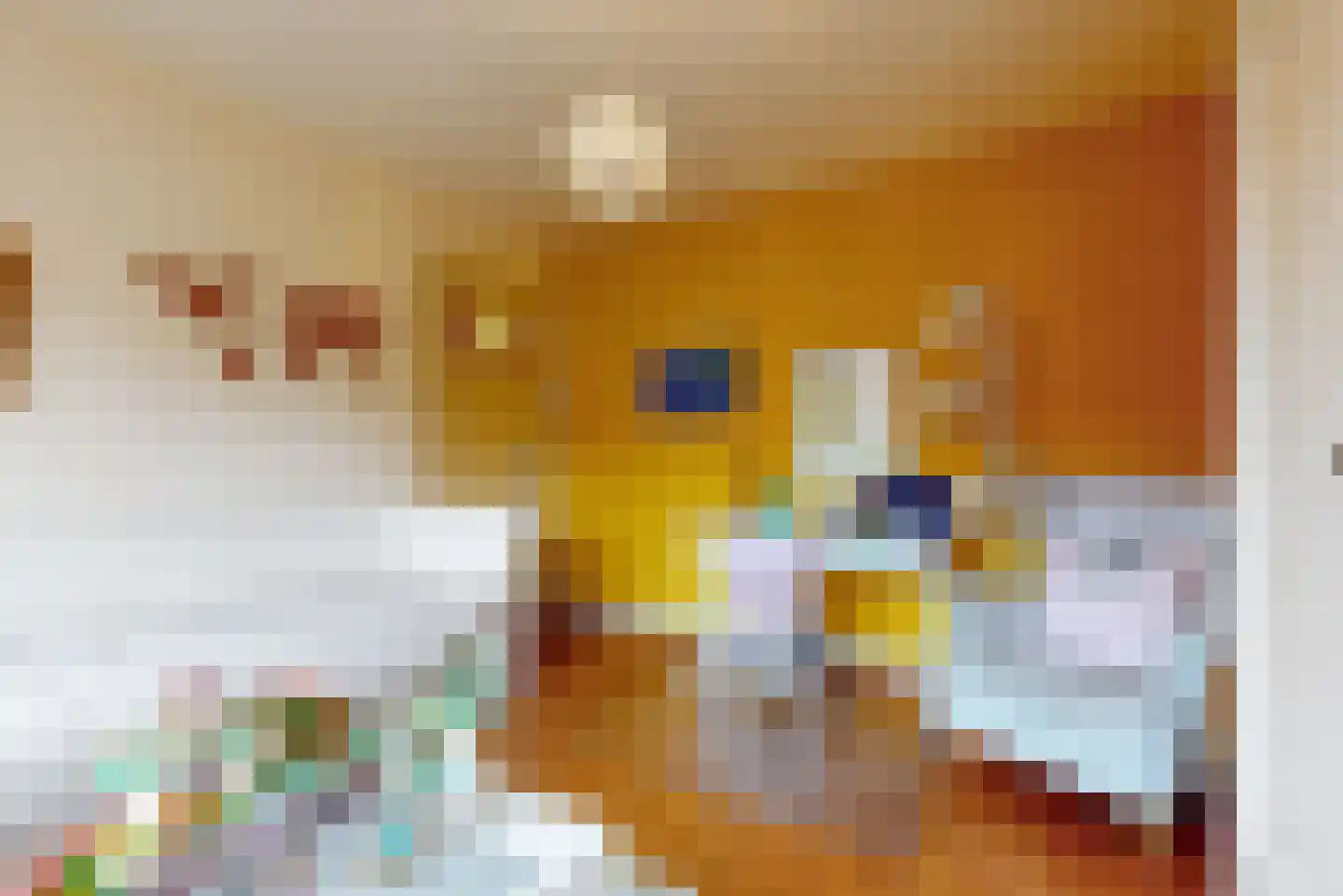 Julianalaan 14 Sassenheim thumbnail 31