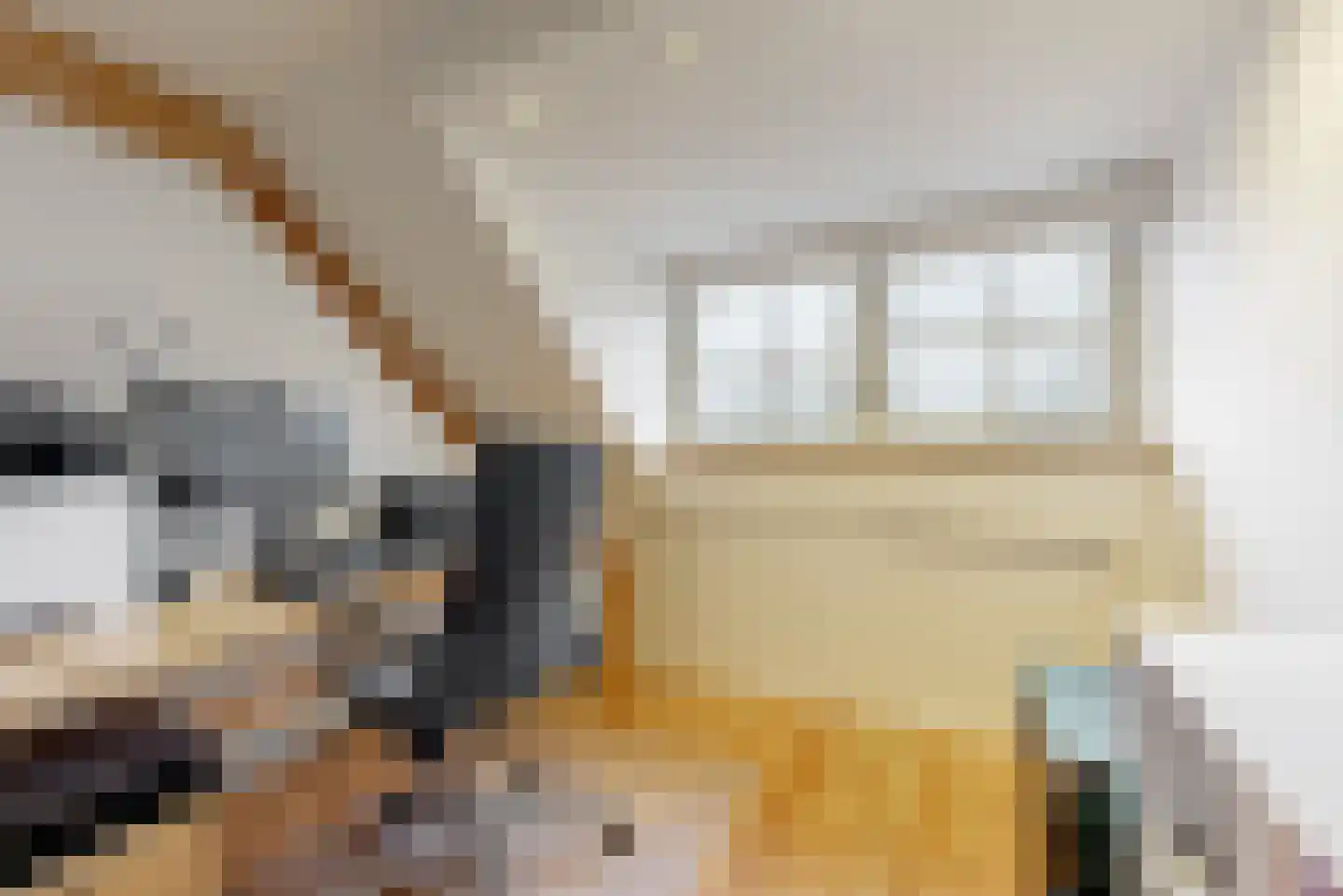 Julianalaan 14 Sassenheim thumbnail 34