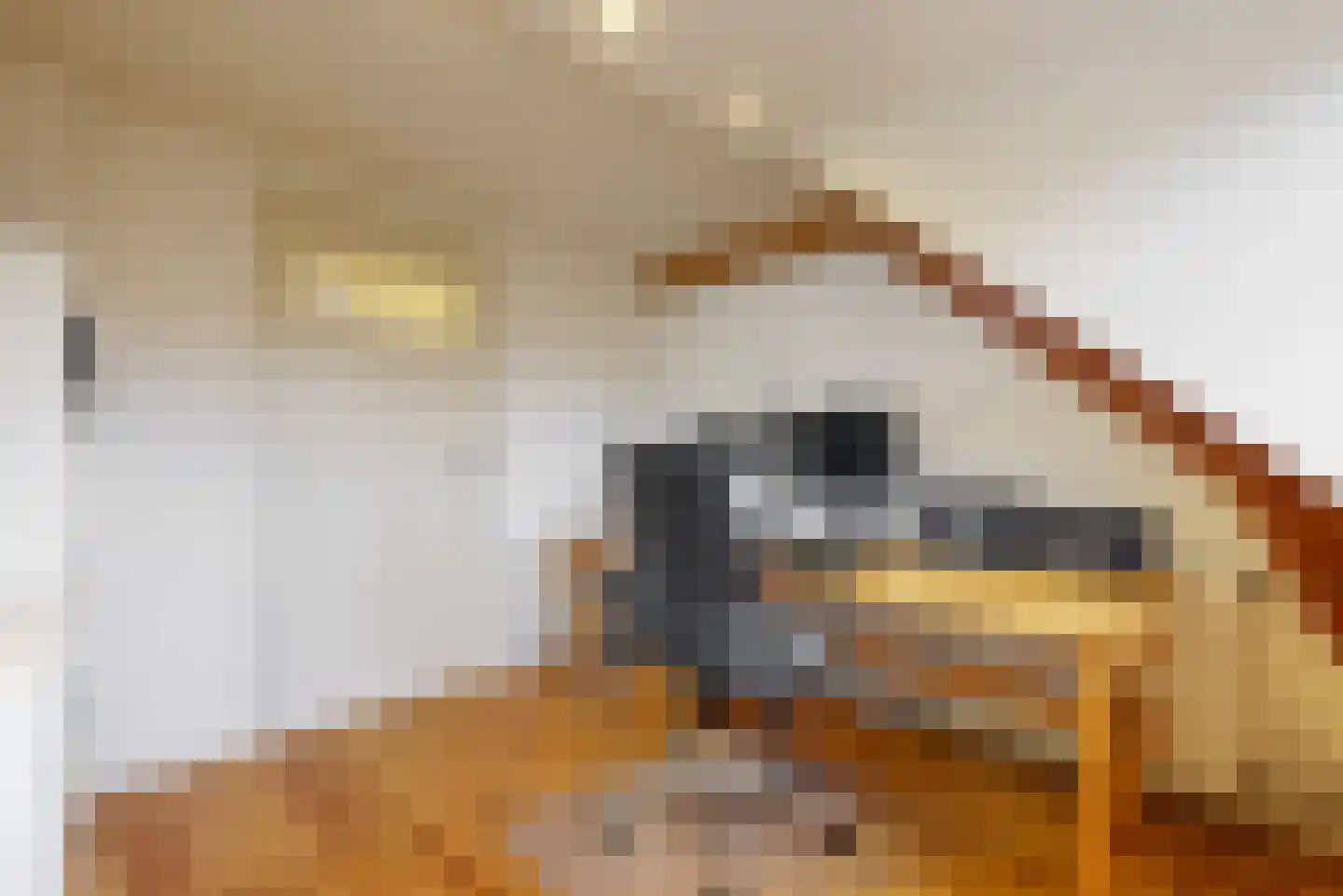 Julianalaan 14 Sassenheim thumbnail 35