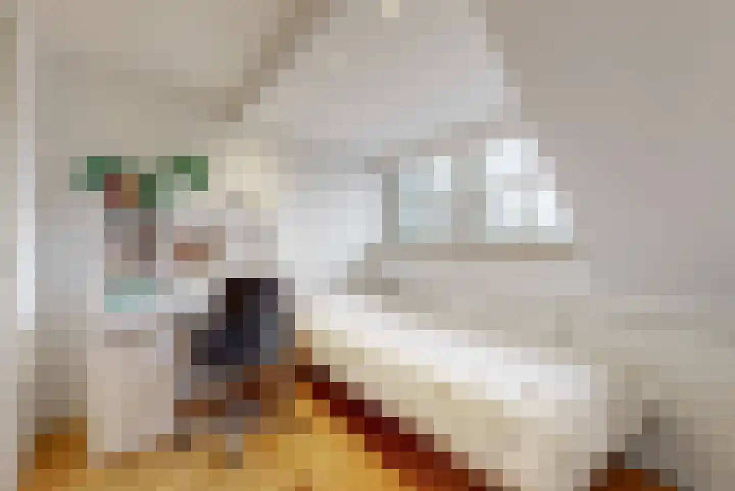 Julianalaan 14 Sassenheim thumbnail 36