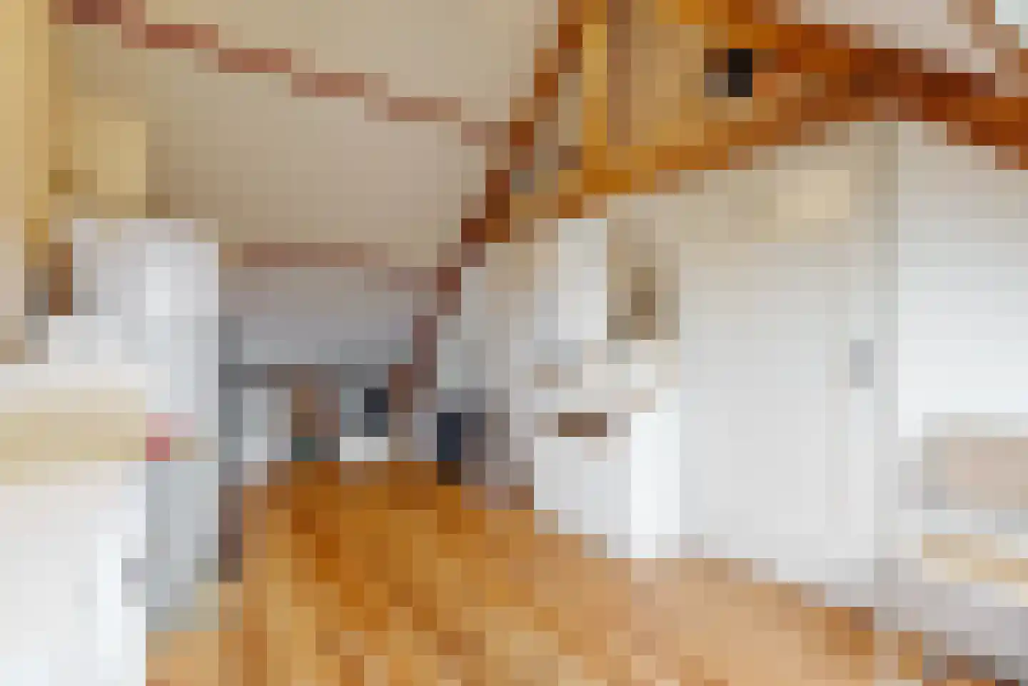 Julianalaan 14 Sassenheim thumbnail 38