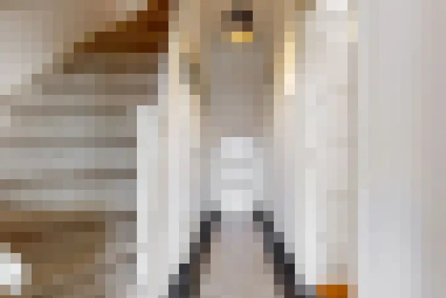 Julianalaan 14 Sassenheim thumbnail 7