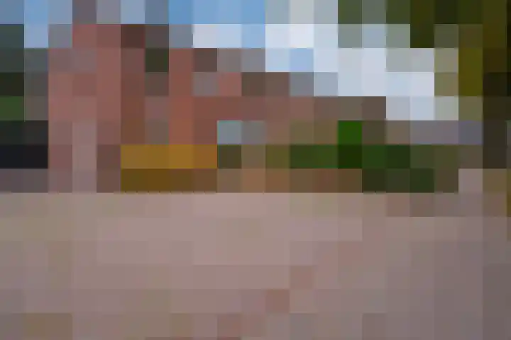 Julianalaan 14 Zevenaar thumbnail 10