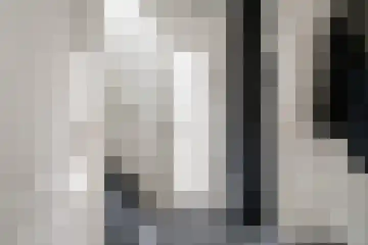 Julianalaan 14 Zevenaar thumbnail 12