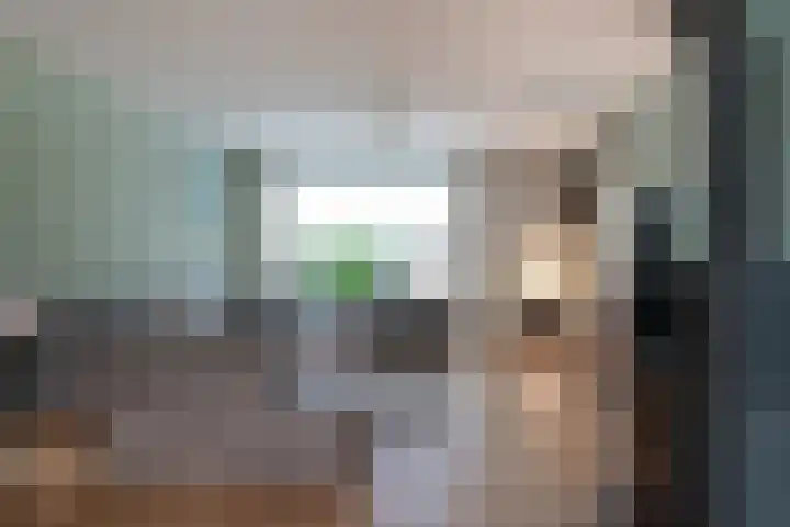 Julianalaan 14 Zevenaar thumbnail 18