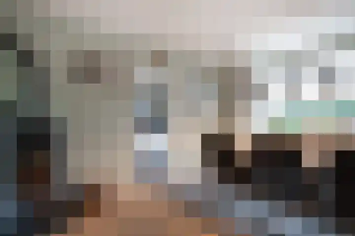 Julianalaan 14 Zevenaar thumbnail 22