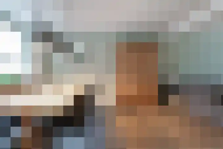 Julianalaan 14 Zevenaar thumbnail 23