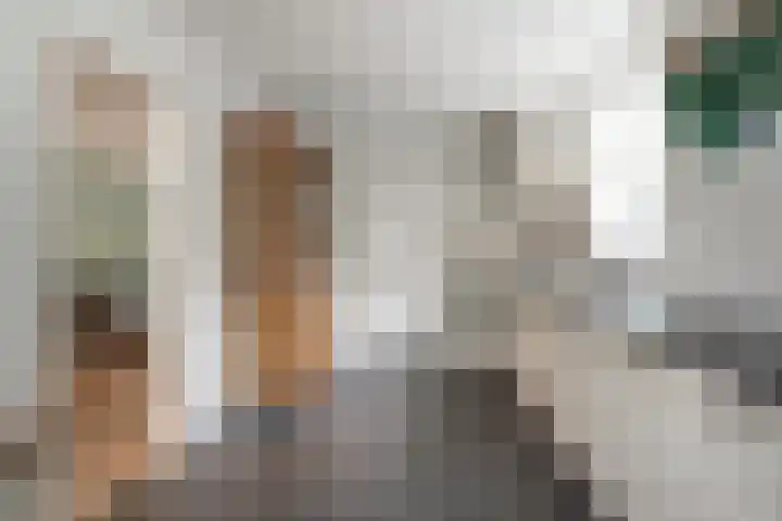 Julianalaan 14 Zevenaar thumbnail 24