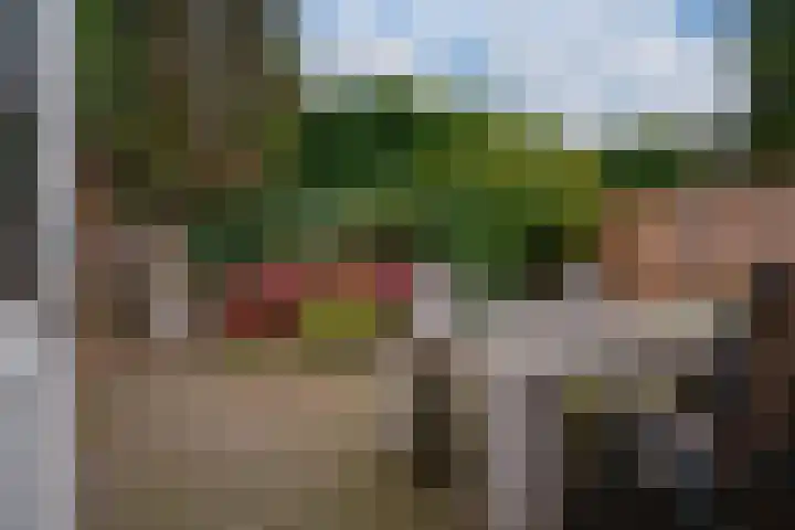 Julianalaan 14 Zevenaar thumbnail 27