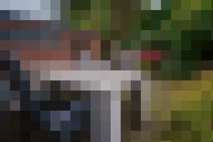 Julianalaan 14 Zevenaar thumbnail 28