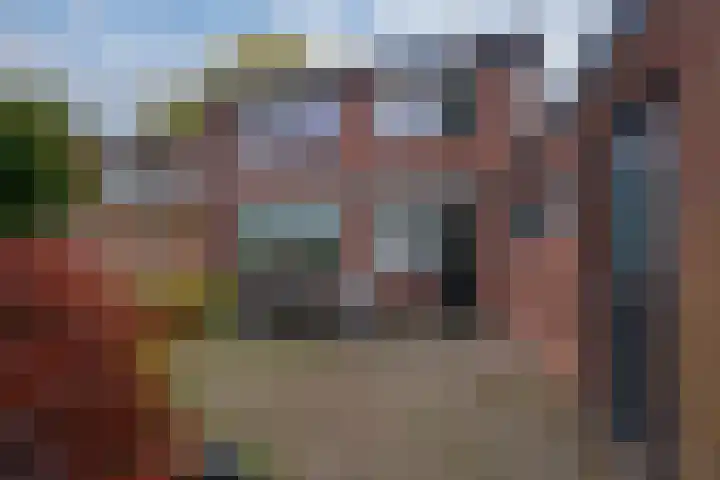 Julianalaan 14 Zevenaar thumbnail 29