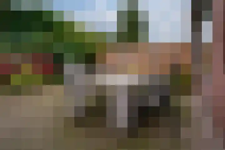 Julianalaan 14 Zevenaar thumbnail 32