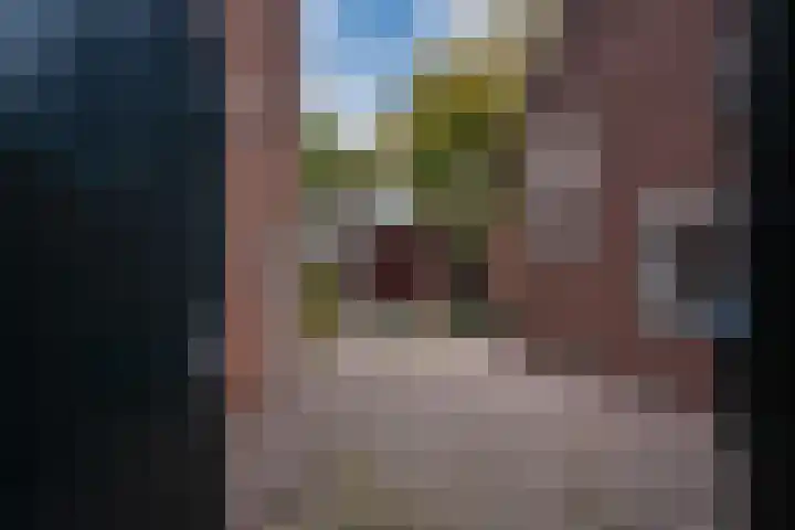 Julianalaan 14 Zevenaar thumbnail 33