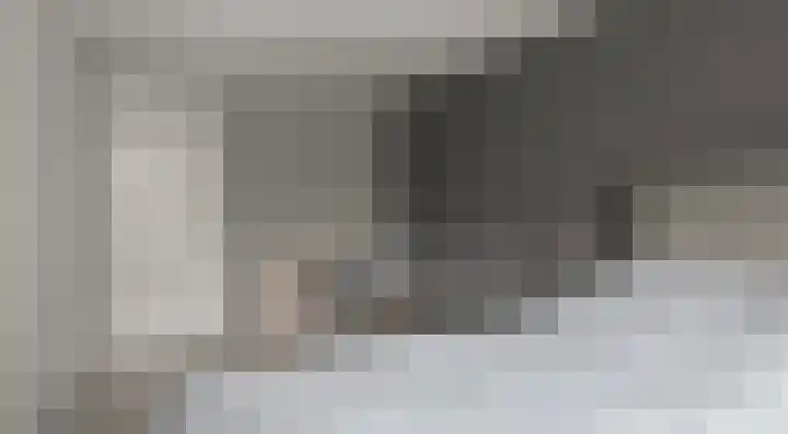 Julianalaan 14 Zevenaar thumbnail 38