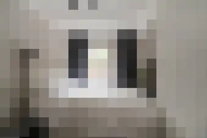 Julianalaan 14 Zevenaar thumbnail 44