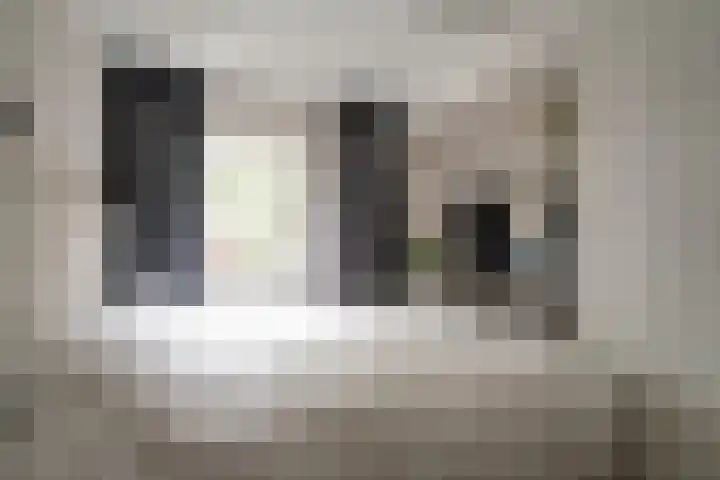 Julianalaan 14 Zevenaar thumbnail 45