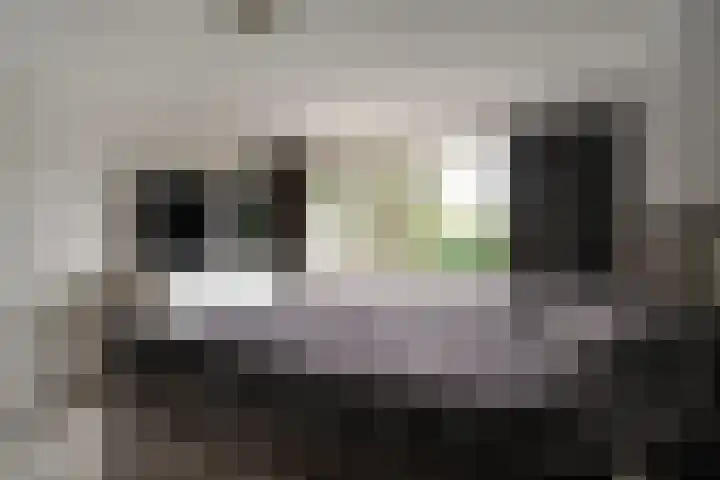 Julianalaan 14 Zevenaar thumbnail 48