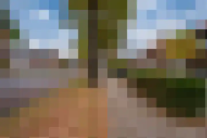 Julianalaan 14 Zevenaar thumbnail 7