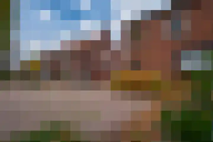 Julianalaan 14 Zevenaar thumbnail 8