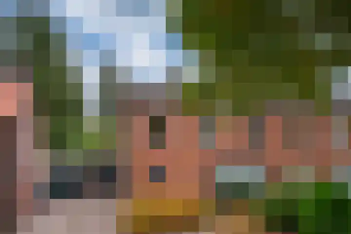 Julianalaan 14 Zevenaar thumbnail 9