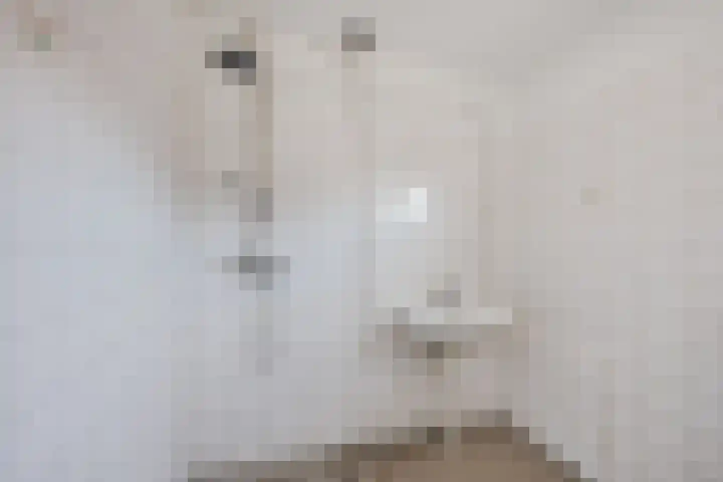 Julianalaan 14 Zwartewaal thumbnail 17