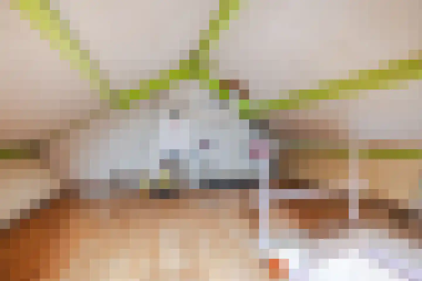 Julianalaan 14 Zwartewaal thumbnail 21