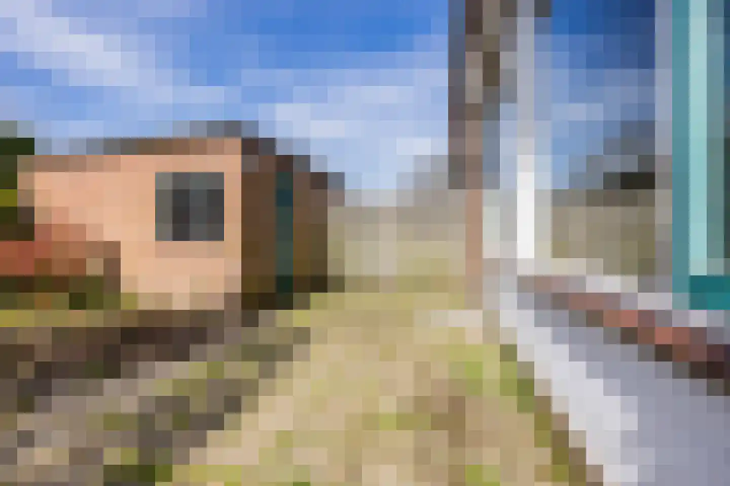 Julianalaan 14 Zwartewaal thumbnail 22