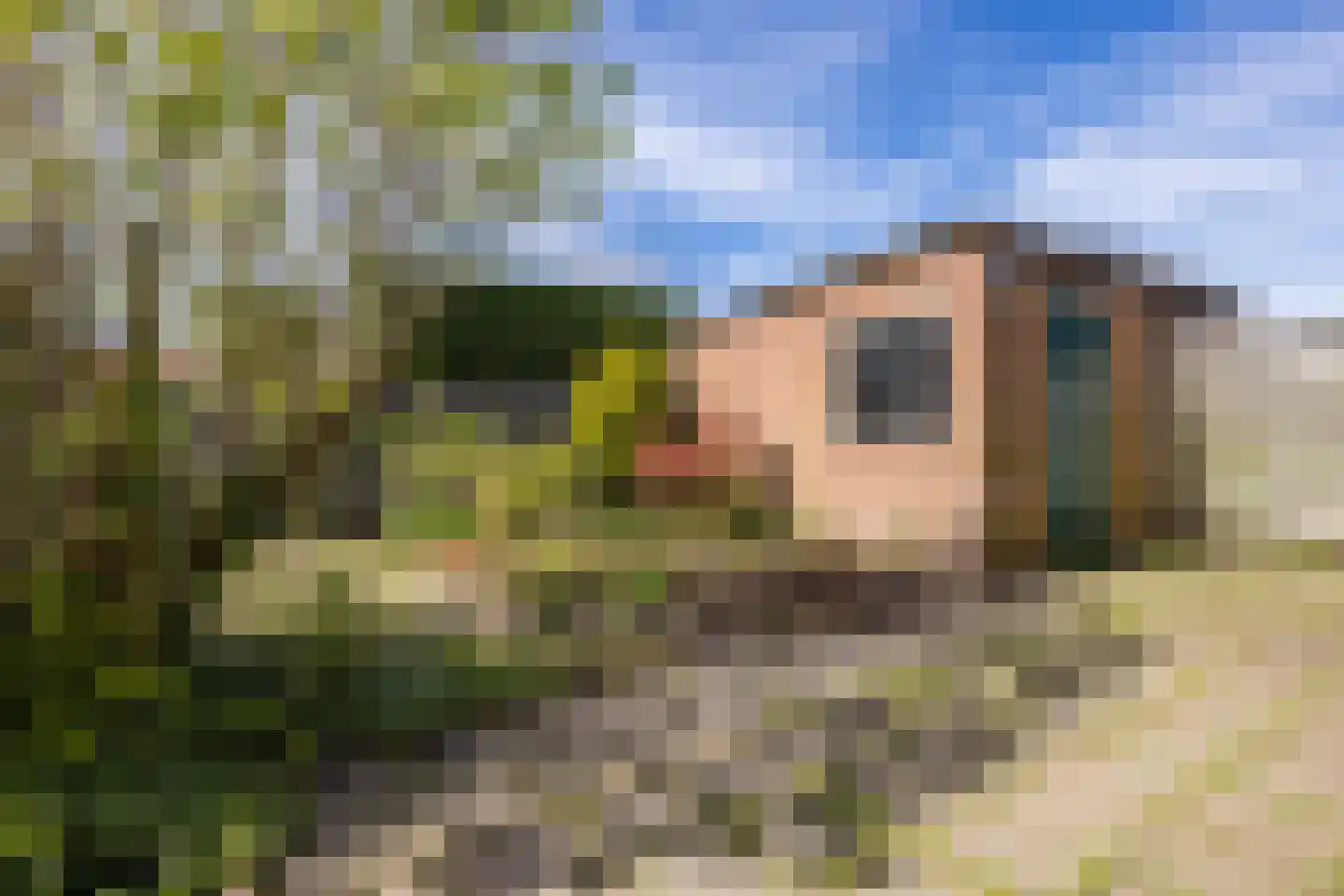 Julianalaan 14 Zwartewaal thumbnail 23