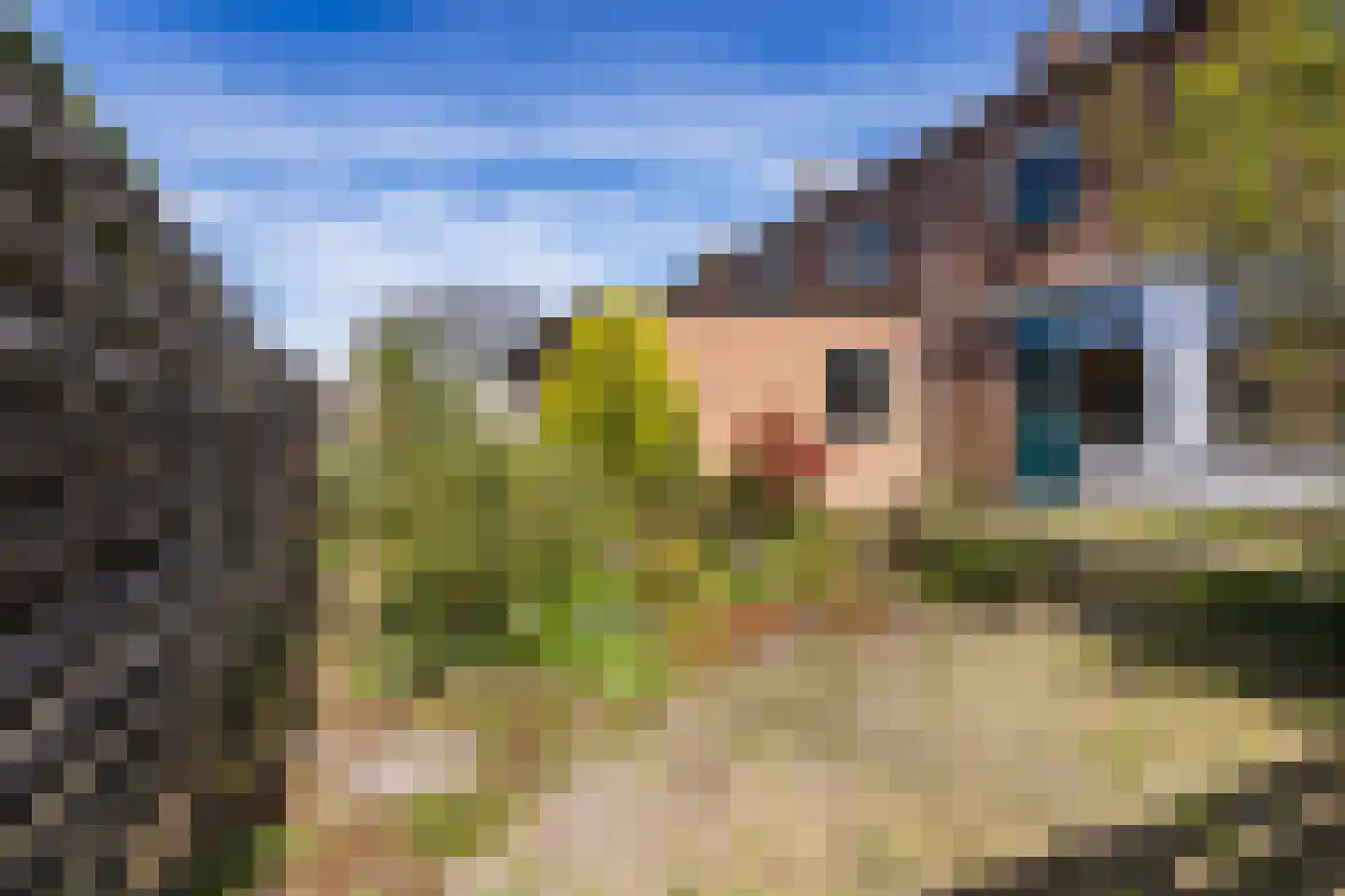 Julianalaan 14 Zwartewaal thumbnail 24