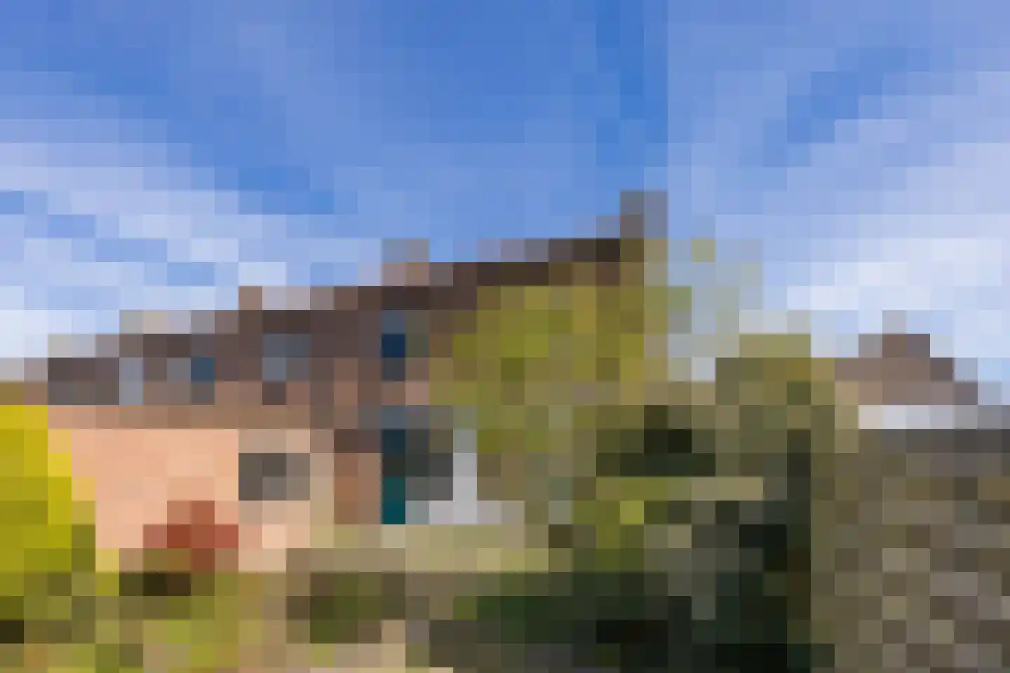 Julianalaan 14 Zwartewaal thumbnail 25
