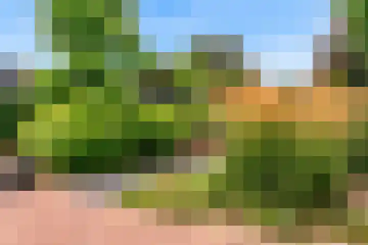 Julianalaan 15 A 4 Roermond thumbnail 16