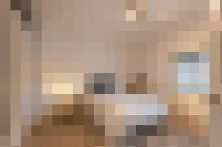 Julianalaan 15 Helmond thumbnail 24