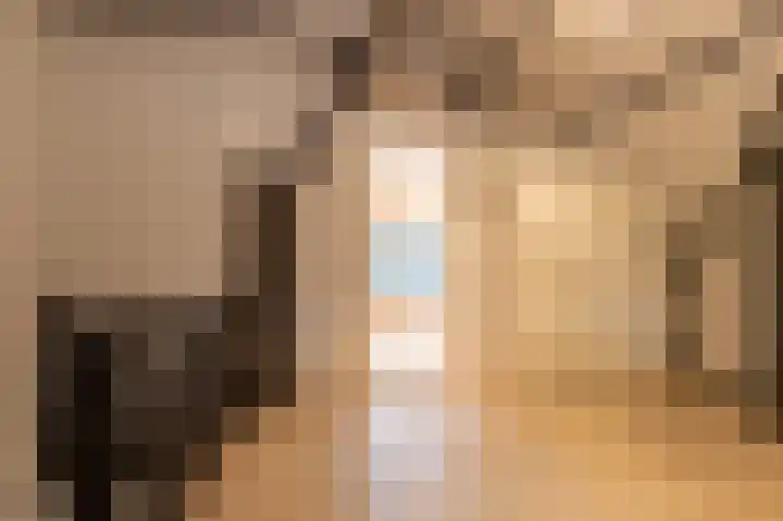 Julianalaan 15 Helmond thumbnail 35