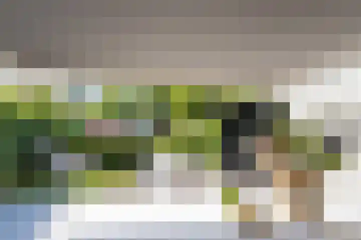 Julianalaan 15 Helmond thumbnail 4