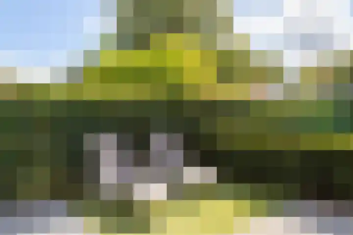 Julianalaan 15 Helmond thumbnail 49