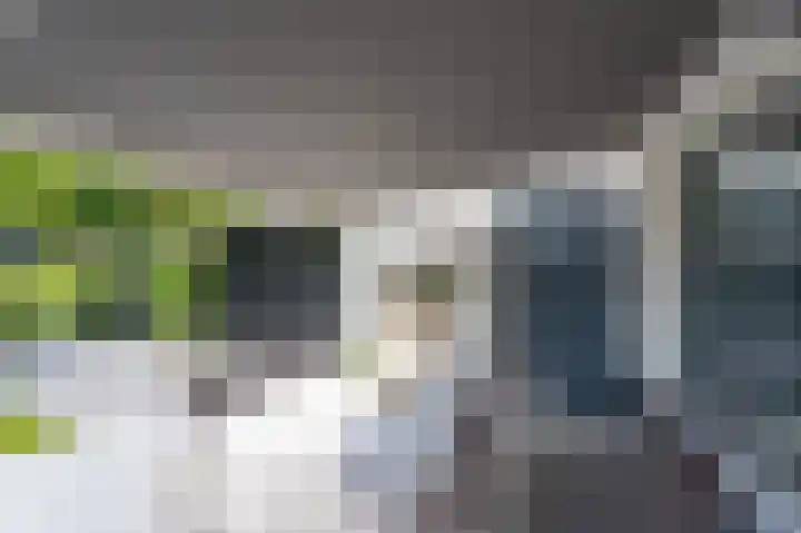 Julianalaan 15 Helmond thumbnail 50