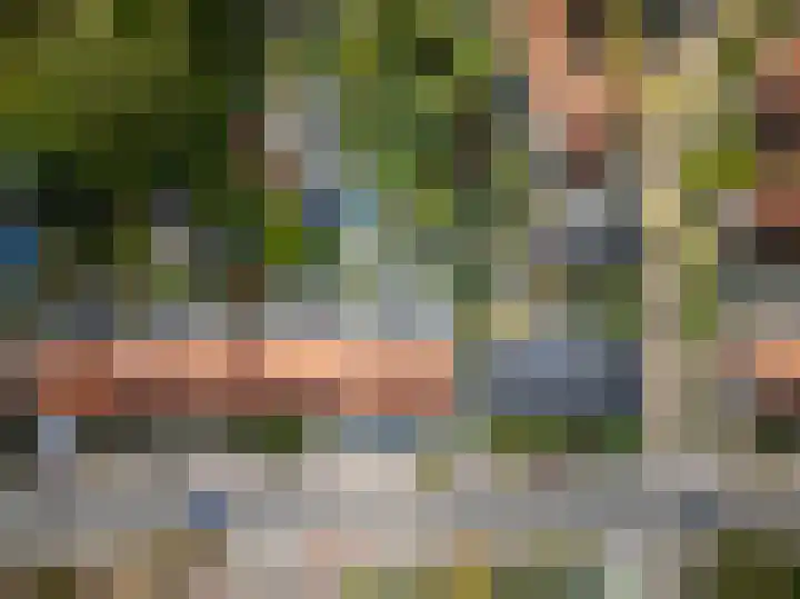 Julianalaan 15 Helmond thumbnail 52