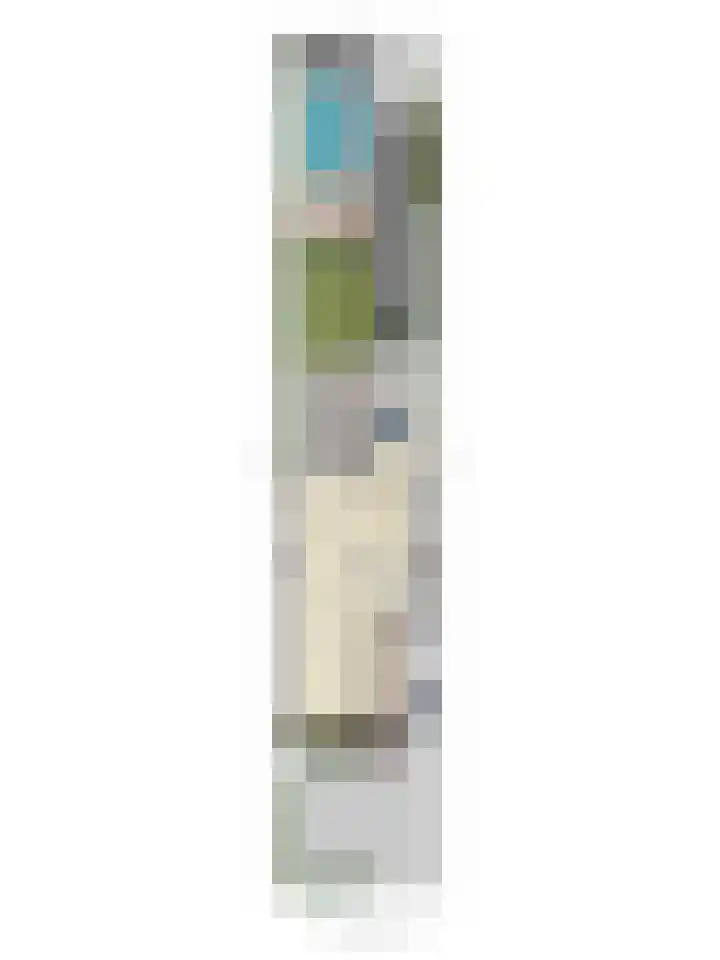 Julianalaan 15 Helmond thumbnail 55