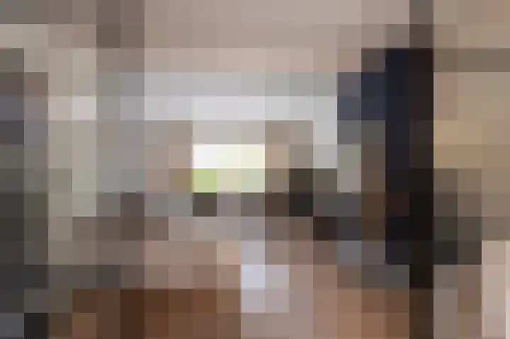 Julianalaan 15 Helmond thumbnail 9