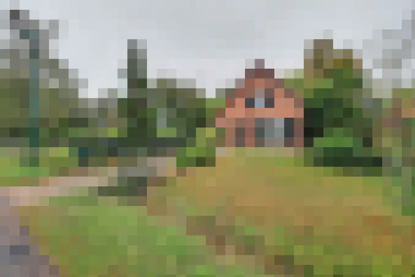 Julianalaan 16 in 's Gravenmoer
