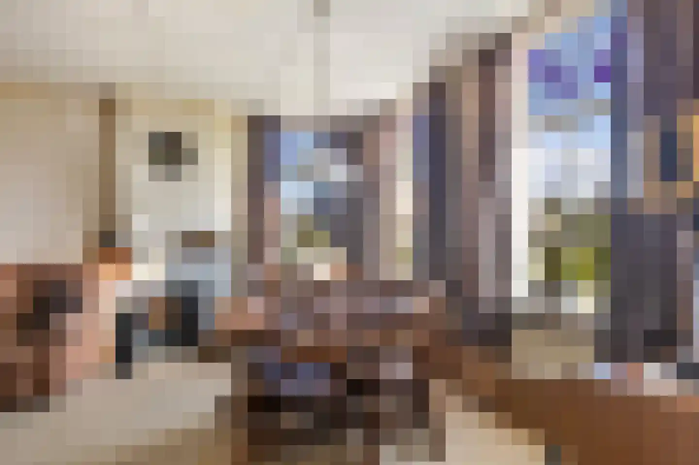 Julianalaan 16 Nieuwer Ter Aa thumbnail 10