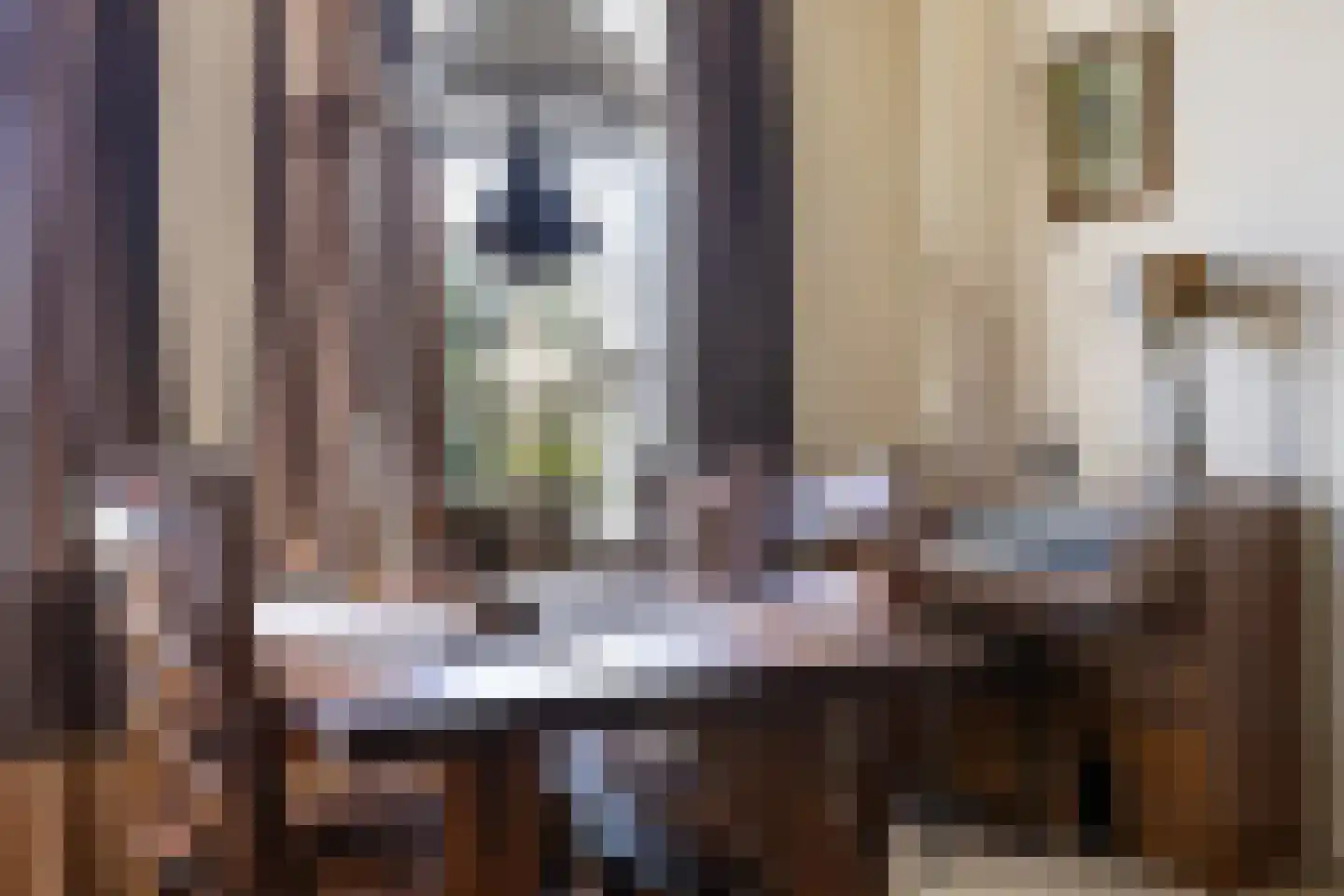 Julianalaan 16 Nieuwer Ter Aa thumbnail 15