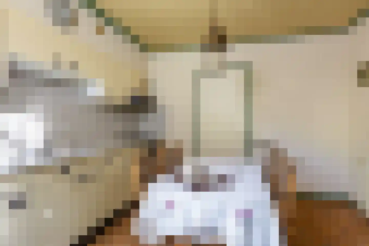 Julianalaan 16 Nieuwer Ter Aa thumbnail 18