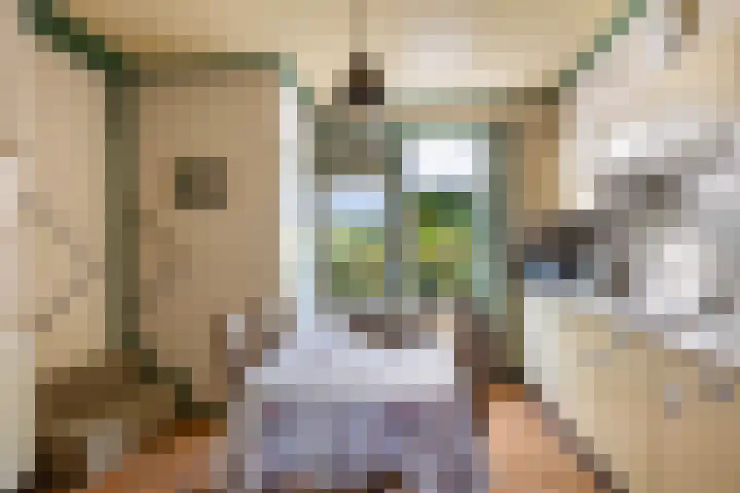 Julianalaan 16 Nieuwer Ter Aa thumbnail 19