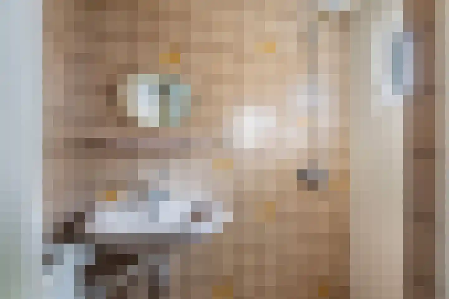 Julianalaan 16 Nieuwer Ter Aa thumbnail 24