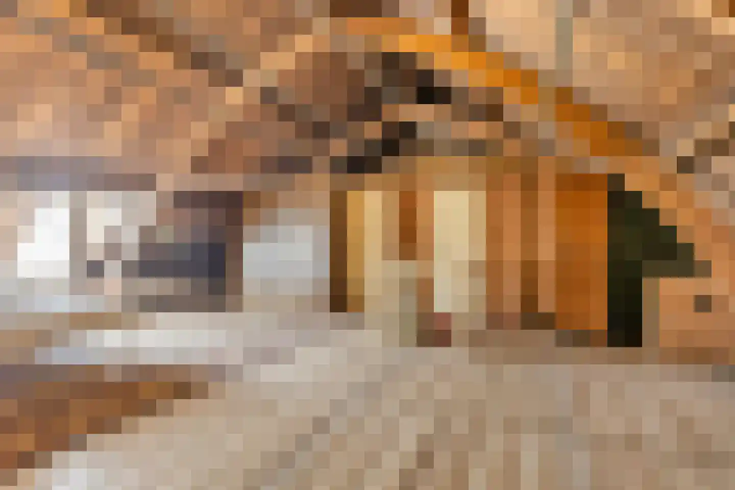 Julianalaan 16 Nieuwer Ter Aa thumbnail 27