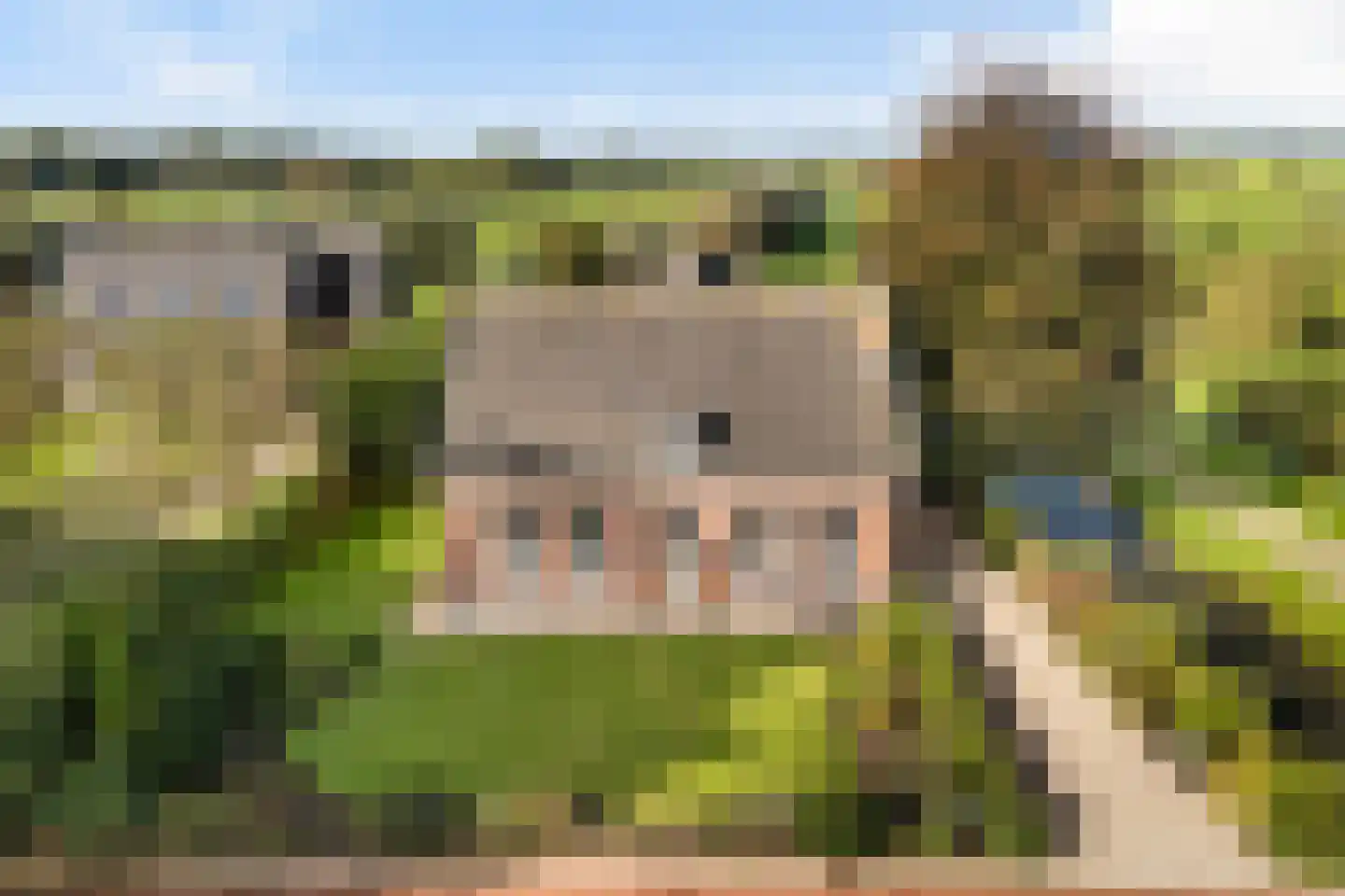 Julianalaan 16 Nieuwer Ter Aa foto 3