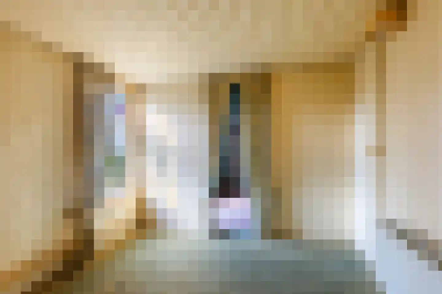 Julianalaan 16 Nieuwer Ter Aa thumbnail 32