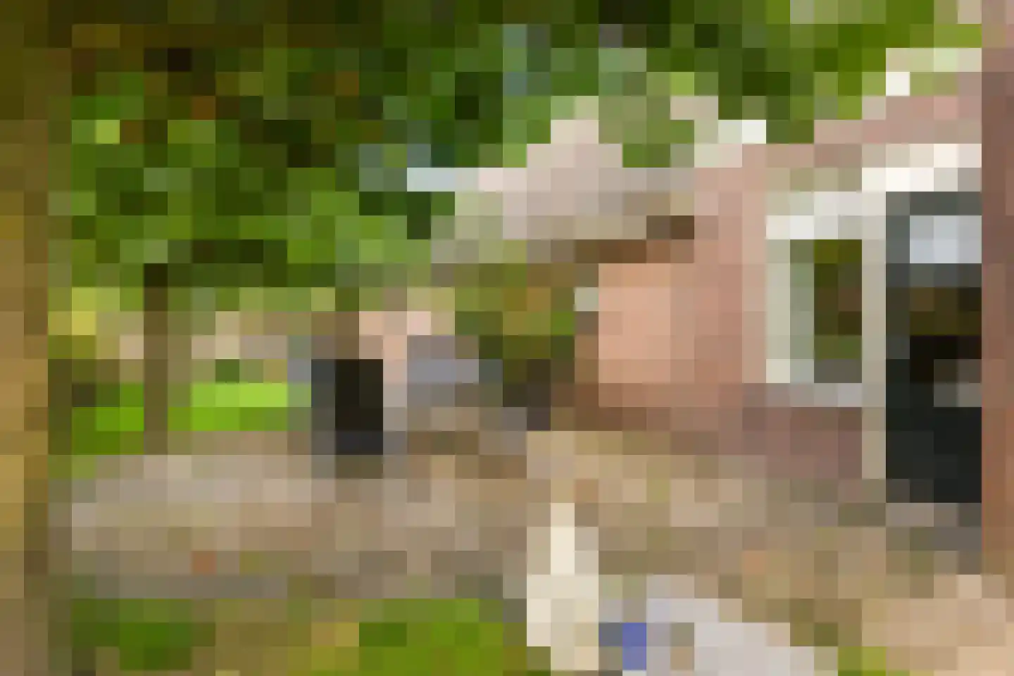 Julianalaan 16 Nieuwer Ter Aa thumbnail 33